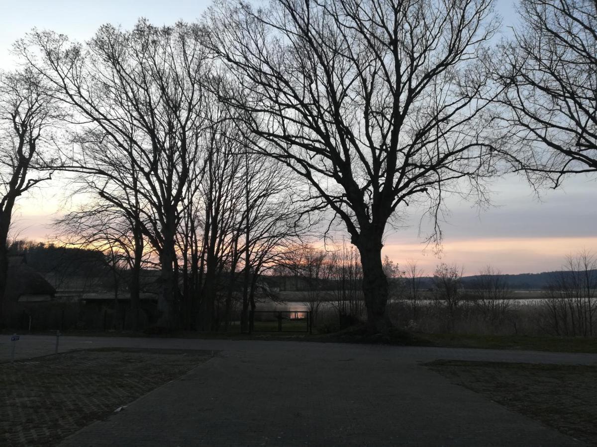 Sellin - Seedorf Am Neuensiener See Apartment 08 Eksteriør bilde