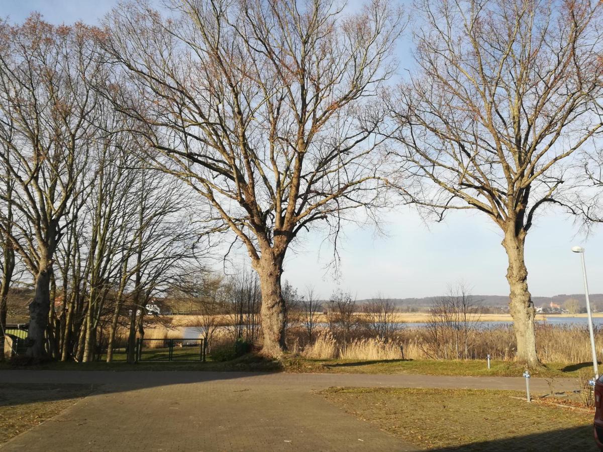 Sellin - Seedorf Am Neuensiener See Apartment 08 Eksteriør bilde